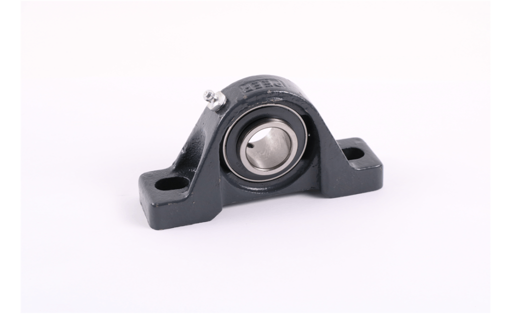 UCP205-16 Unita di supporto ritto - Schaeffler